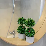 Jad Premium Kasper Coresi Apartmán